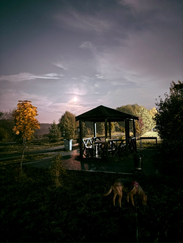 Туманная ночь 7.10.2025г