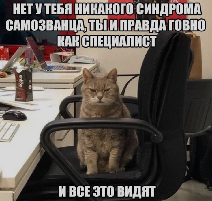 Ночная подборочка
Спать, режим