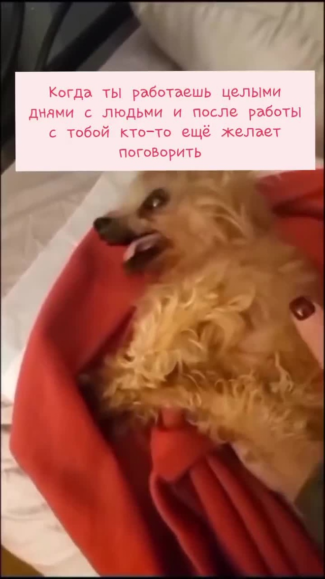 О, как это знакомо! 😄