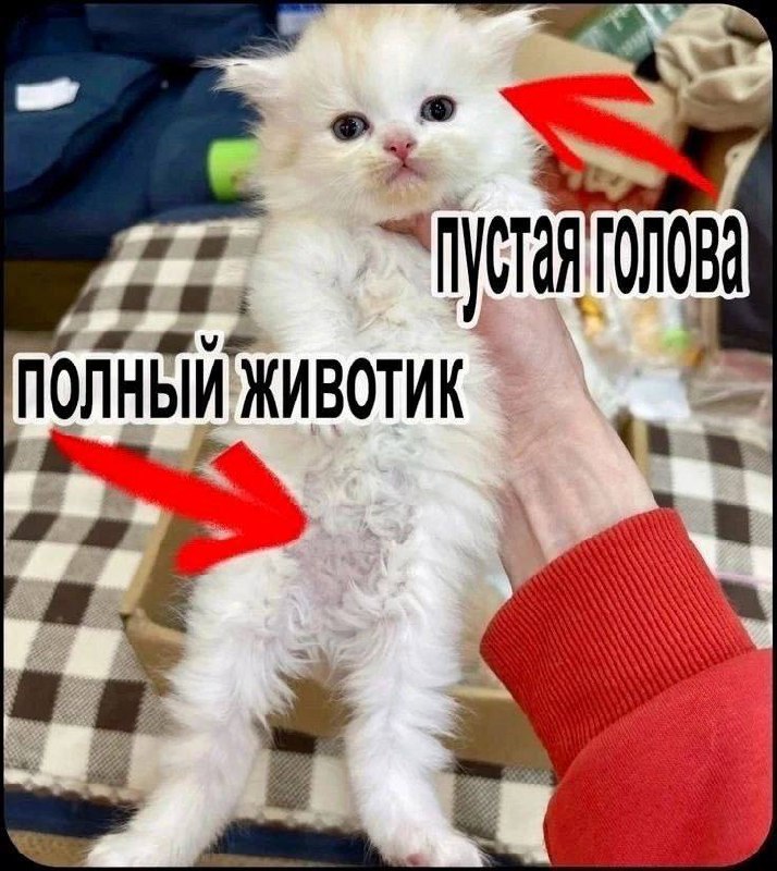 Утренняя подборочка