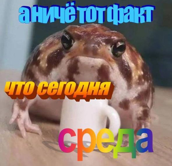Утренняя подборочка