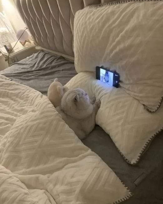 Перед сном😍