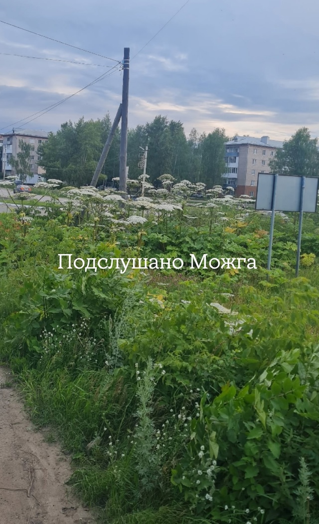 В чем проблема скосить, администрация ?
[id38041297|Игорь Ва...