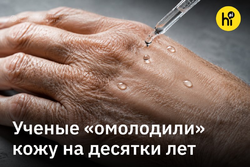 🔄 Ученые «омолодили» кожу на десятки лет
Продукты реакции сахара с белками (гликирования) с возраст