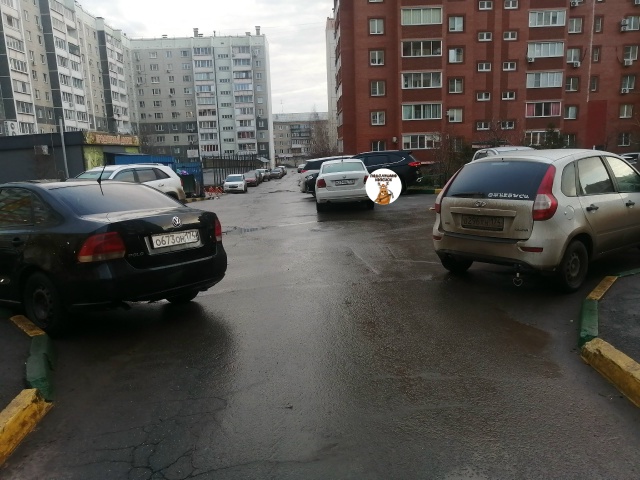 Вы чем думаете, когда паркуетесь, как М....? У мусоровоза ...