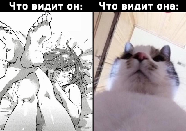 Как вам новая подборка?