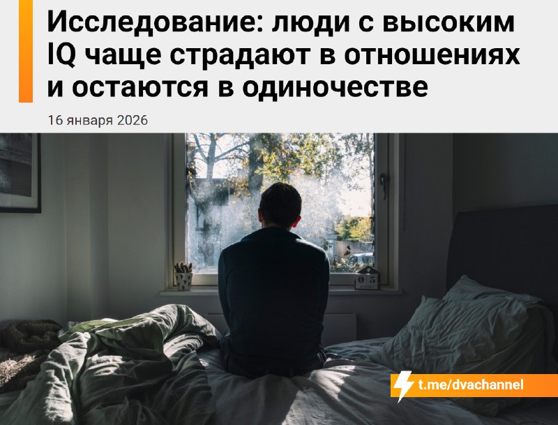 Люди с высоким IQ чаще бывают одиноки и несчастны в личной жизни, выяснили исследователи, изучив дан