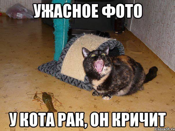 Рак уничтожили иммунотерапией — новый метод раз и навсегда уничтожает метастазы и опухоли:
🟢 Терапи