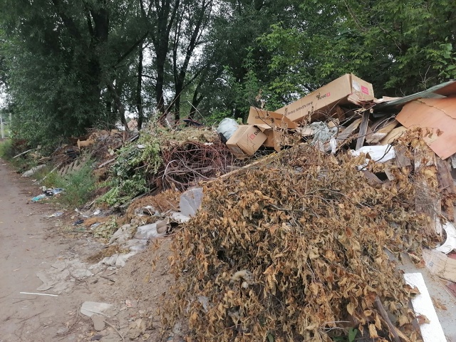 Шанхай завалился мусором. Когда все это будет убиратьс...