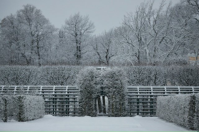 Зимняя сказка в Петергофе ❄
Фото: peterhof_museum