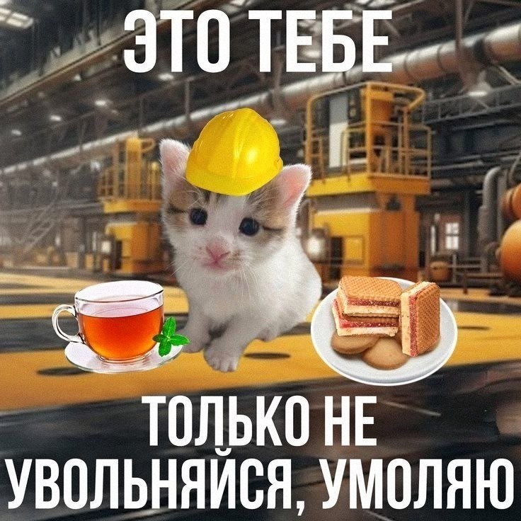 Утренняя подборочка — фото 2