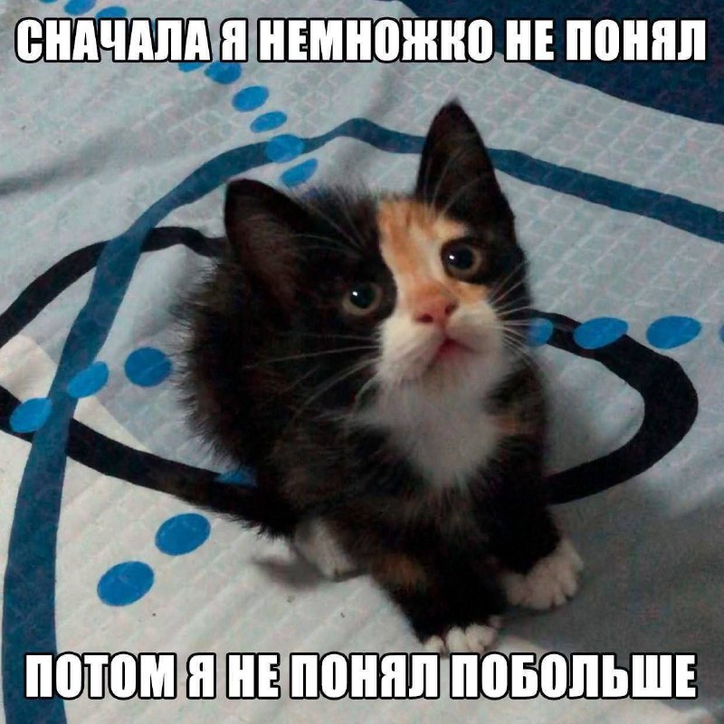 Утренняя подборочка