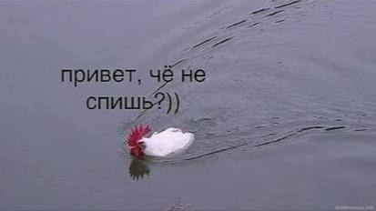 💞 Вернуться к бывшим рекомендуют психологи
Психологи отмечают тренд на «возвраты». Пары, которые сх