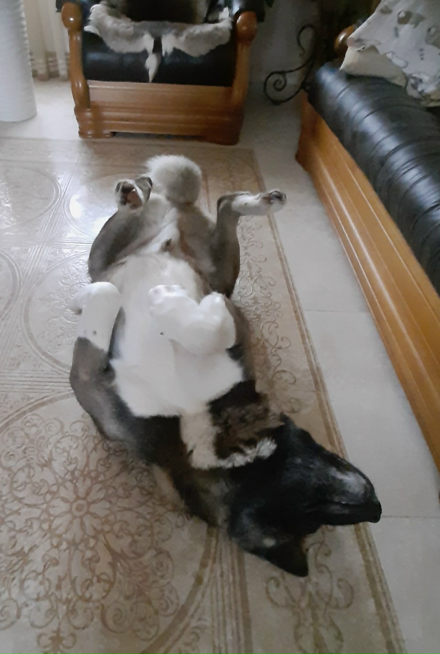 Кто как проводит время?🤭❄❄❄