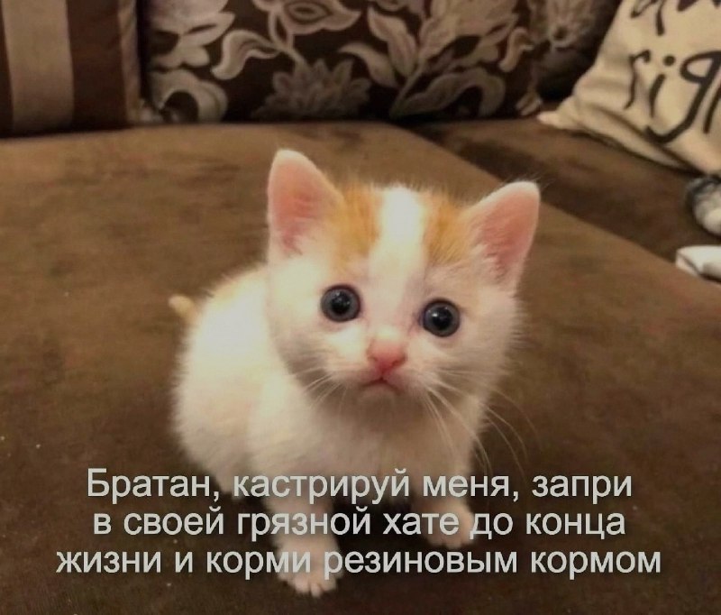 Ночная подборочка
Спать, режим