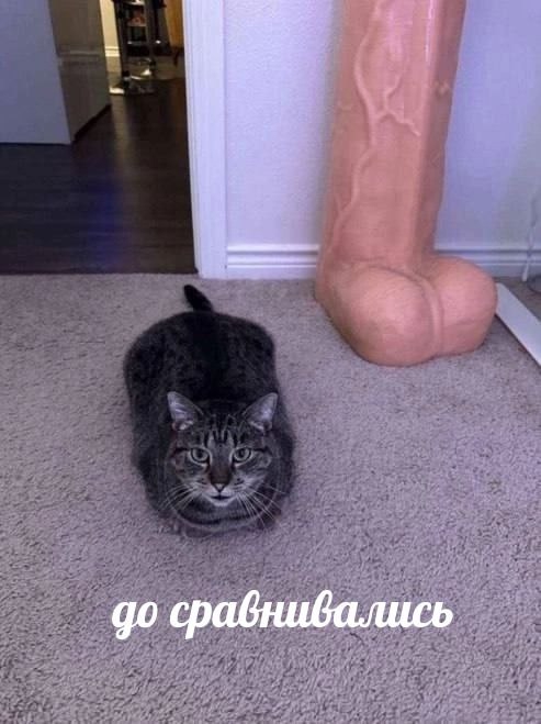 результаты конкурс!!!!!!!!
1 чемпион по большему кол-ву ре?...