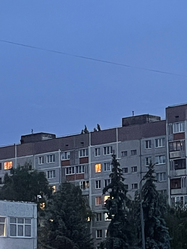 Это вообще нормально!!!!!
А если кто-то упадет ???!!!!
Анон...