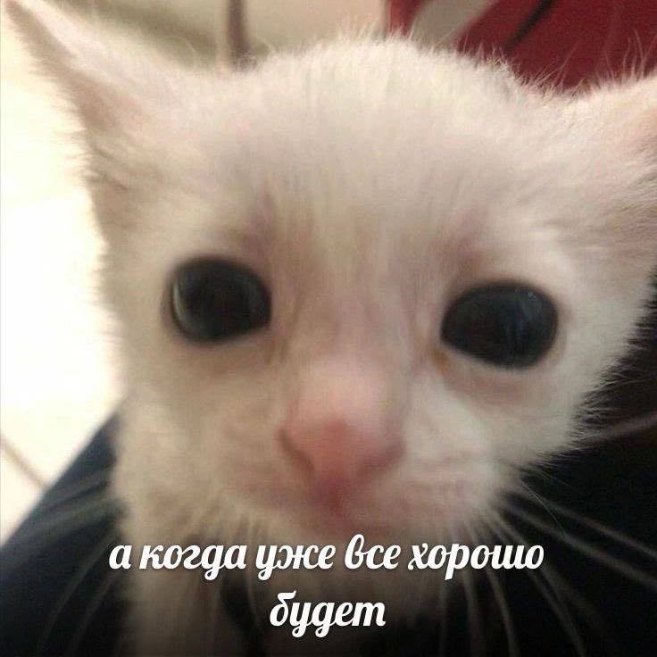 Утренняя подборочка