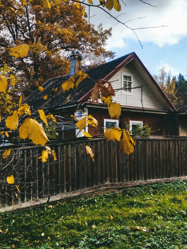Осенняя Луга🍂