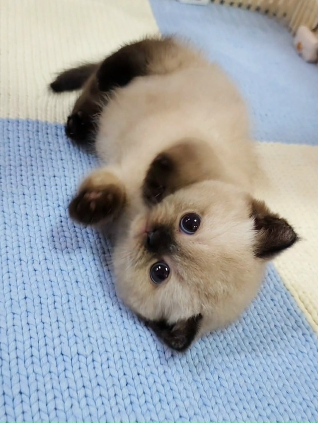 Любовь с первого взгляда 😍