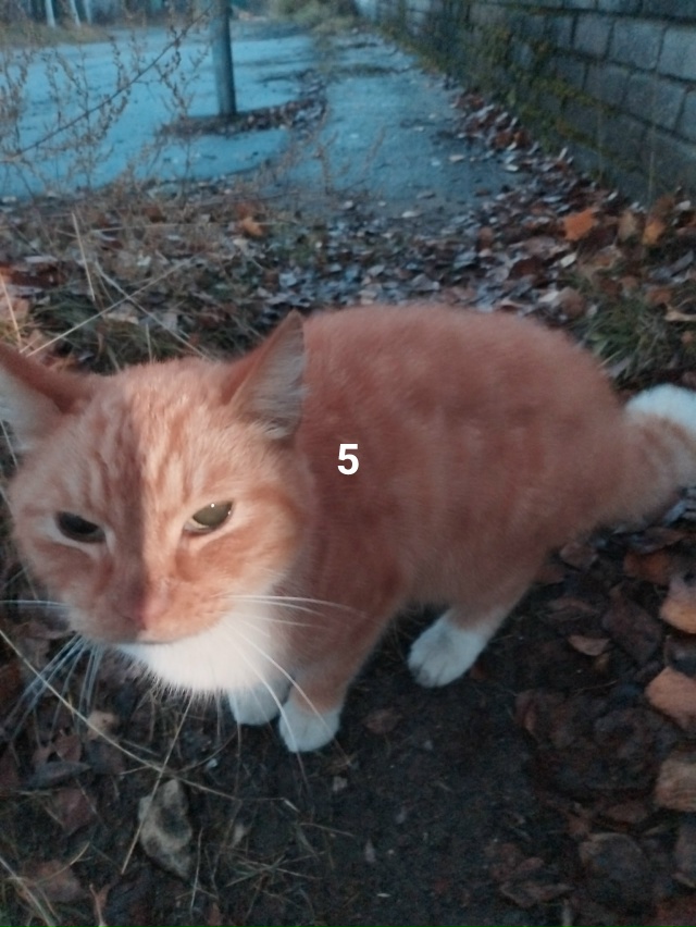 #ПотерялиНашлиПомогите
1 Утерян телефон инфиникс 8 плю...