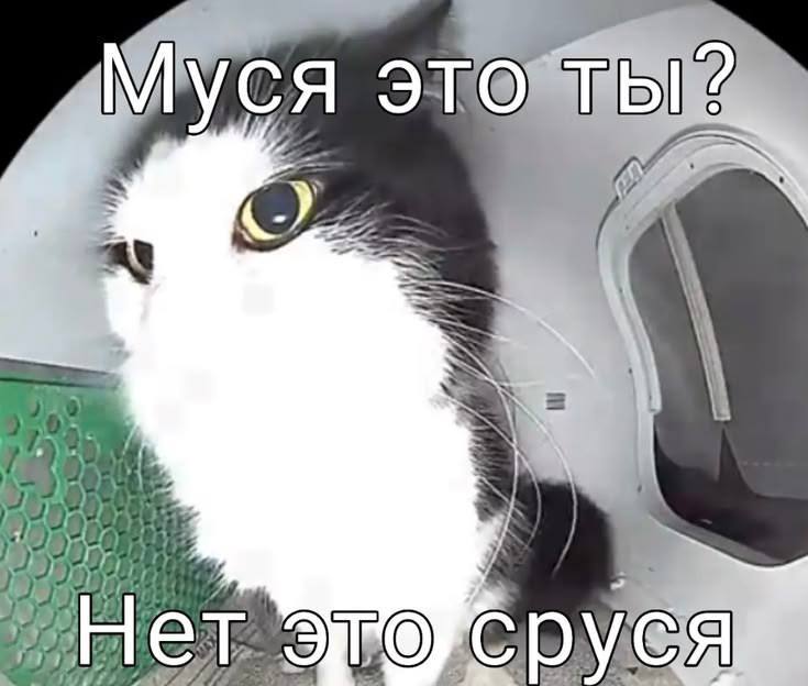 Утренняя подборочка