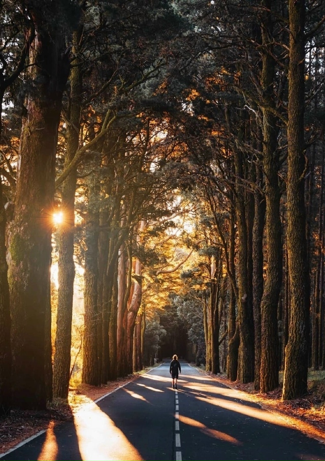 Kак бы тpудно Baм ни былo – не меняйте крacoту cвoей души нa ?...