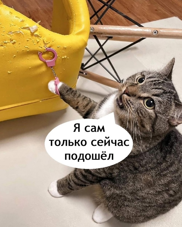 Поймали опасного преступника