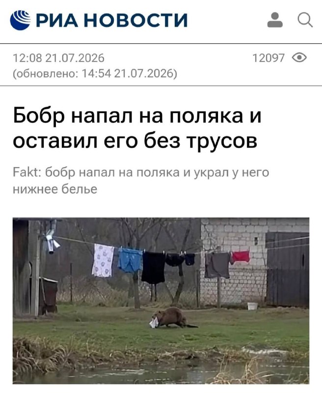 Я: покупаю дорогое красивое бельё для него
Он через 0,002 секунды: