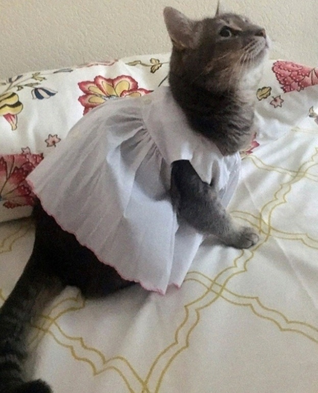 Мама была права