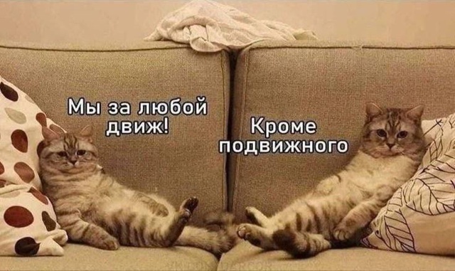 Типичный выходной