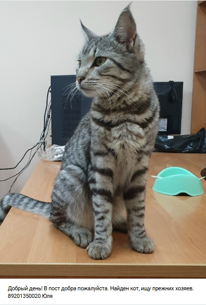 Пост добра. Распространите, пожалуйста.