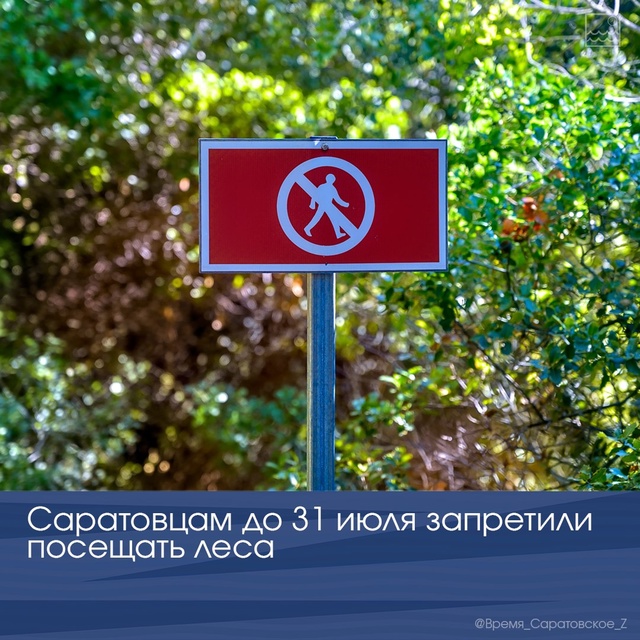 Саратовцам до 31 июля запретили посещать леса
Ограниче...