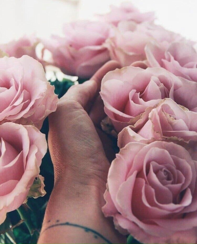 все сражения нужны в жизни для того, чтобы чему-то нас н...