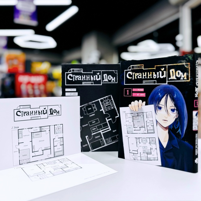 «Я, еще только глянув на план, подумал: какой странный д...