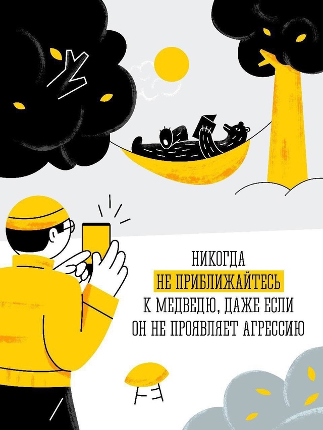 🐻Бурый медведь – крупный, опасный для человека хищни?...