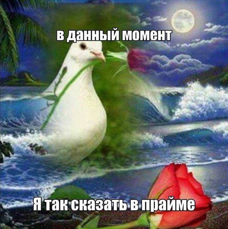 тот самый день, когда убрался и постирал всю грязную одежду: