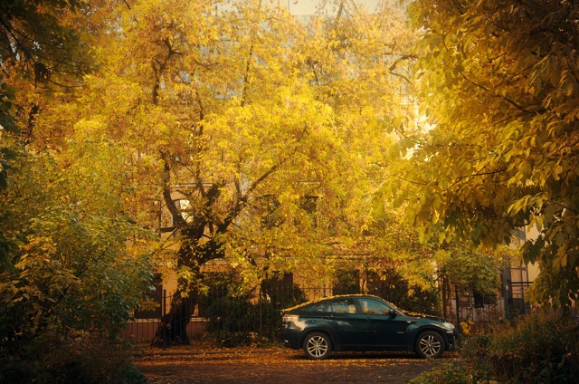 Золотой Ярославль 🍁
📷 Антон Зубайров