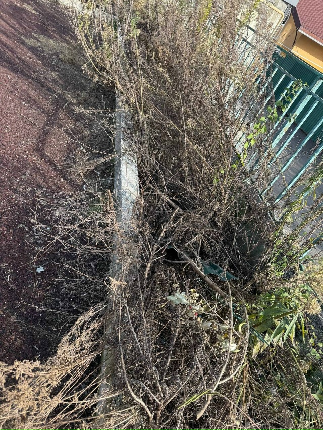 #нампишут
Добрый день. Подскажите, пожалуйста можно л?...