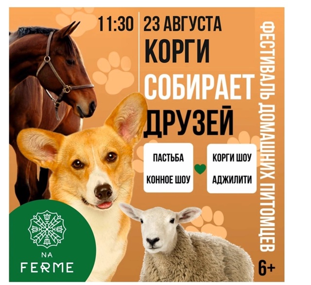 🌟Друзья, встречайте! 📅23 августа в 11.30 в парк-отеле «Na F...