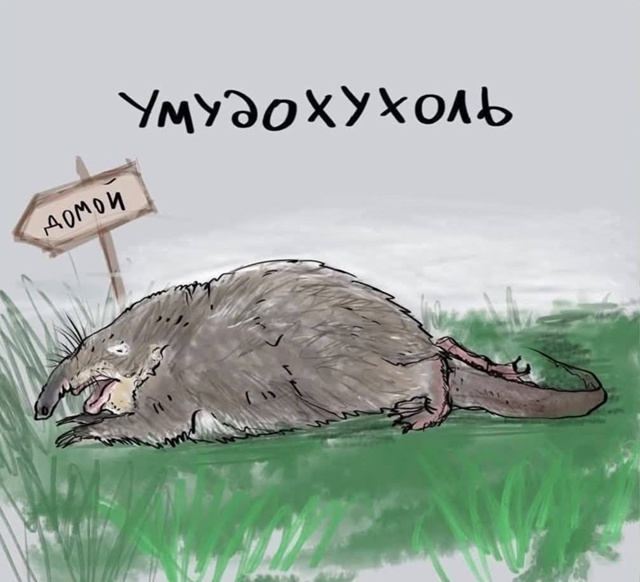 Три моих состояния: