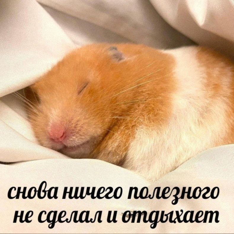Утренняя подборочка