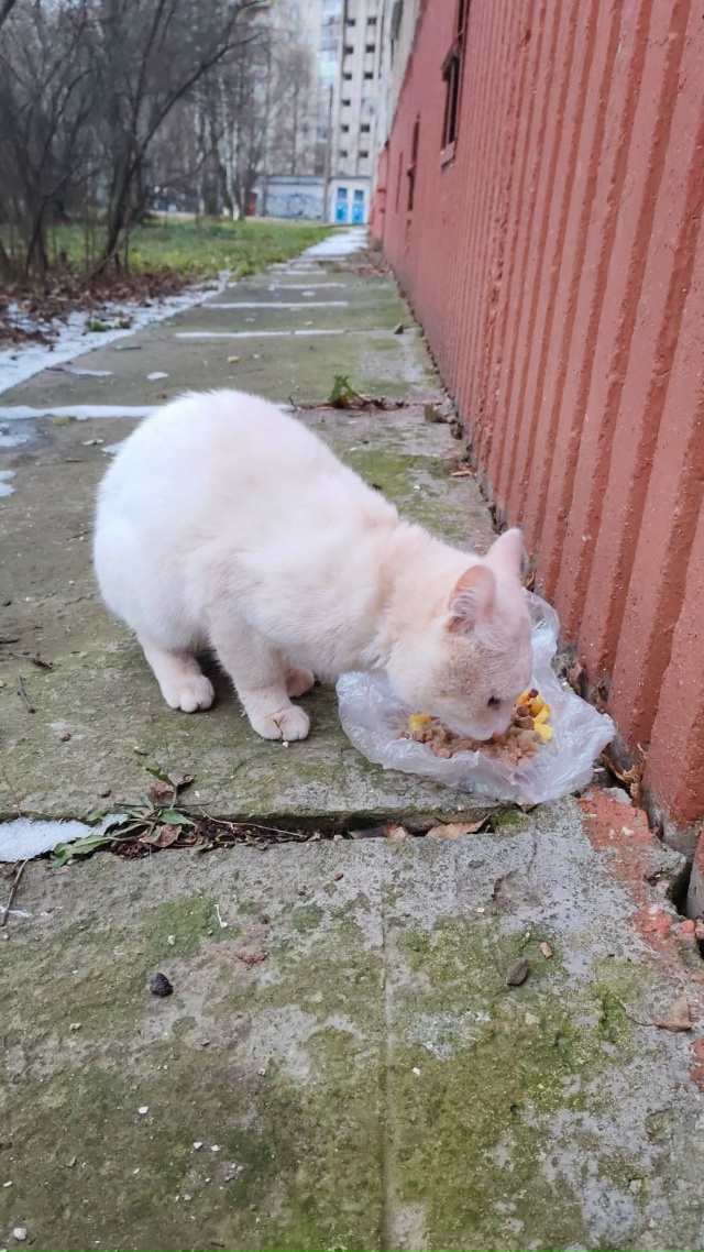 Анон
Здравствуйте! По улице кооперативной 56 нашелся к?...