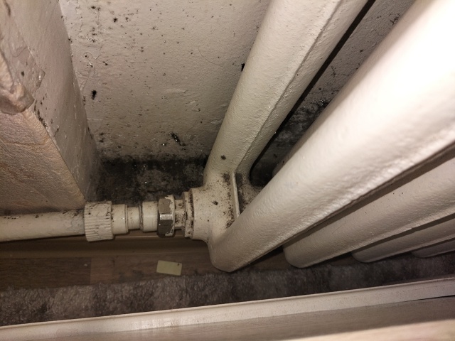 😔 Вот к чему приводит отсутствие отопления...
Космона?...