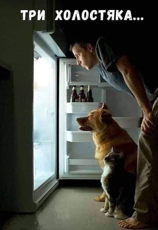 КАПЕЛЬКА ЮМОРА... 😯