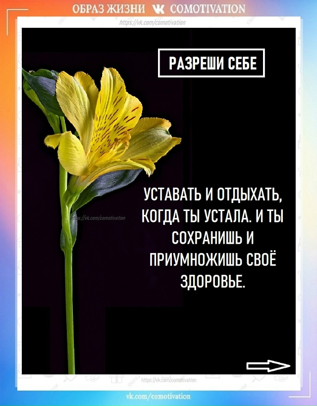 Разреши себе