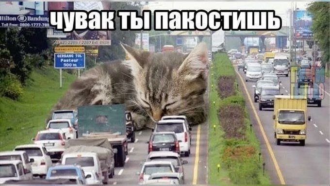 когда надраила всю хату и видишь, как он передвинул хотя бы одну идеально лежащую вещь на 1мм