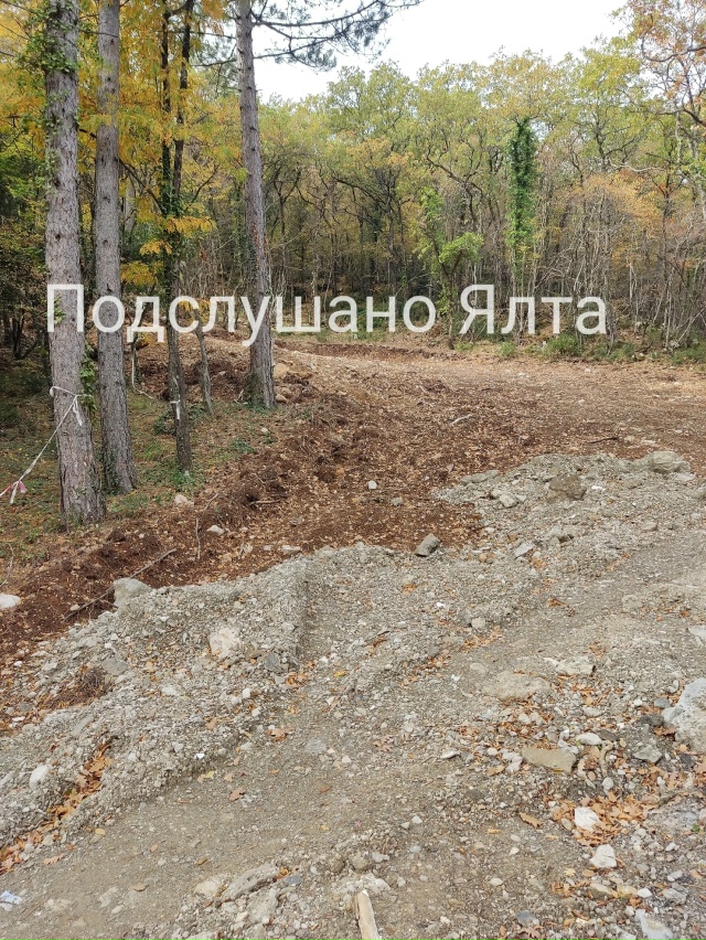 За полигоном на Мисхорской за газовой заправкой над ру...