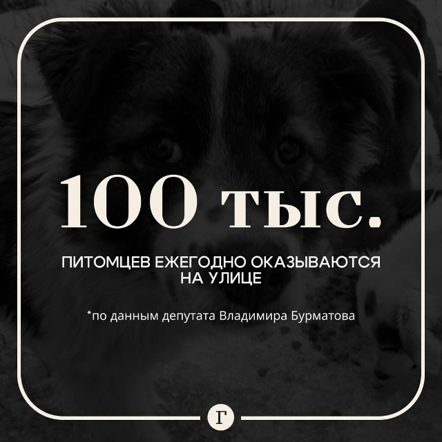 😢 100 тысяч животных выбрасывают на улицу после оконча?...
