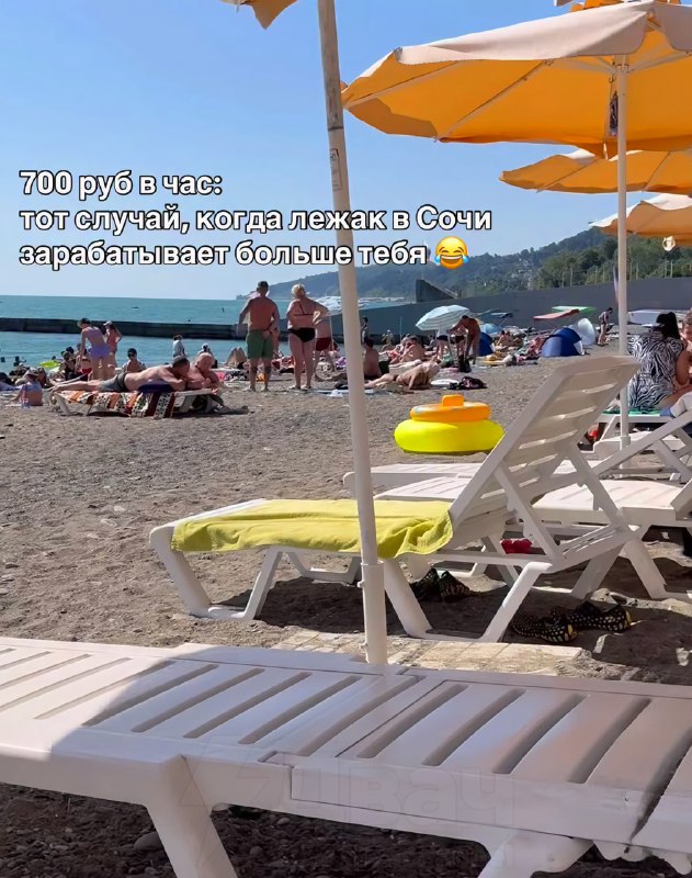 «Лежак в Сочи зарабатывает больше тебя»: экономисты посчитали, сколько в среднем зарабатывают предпр